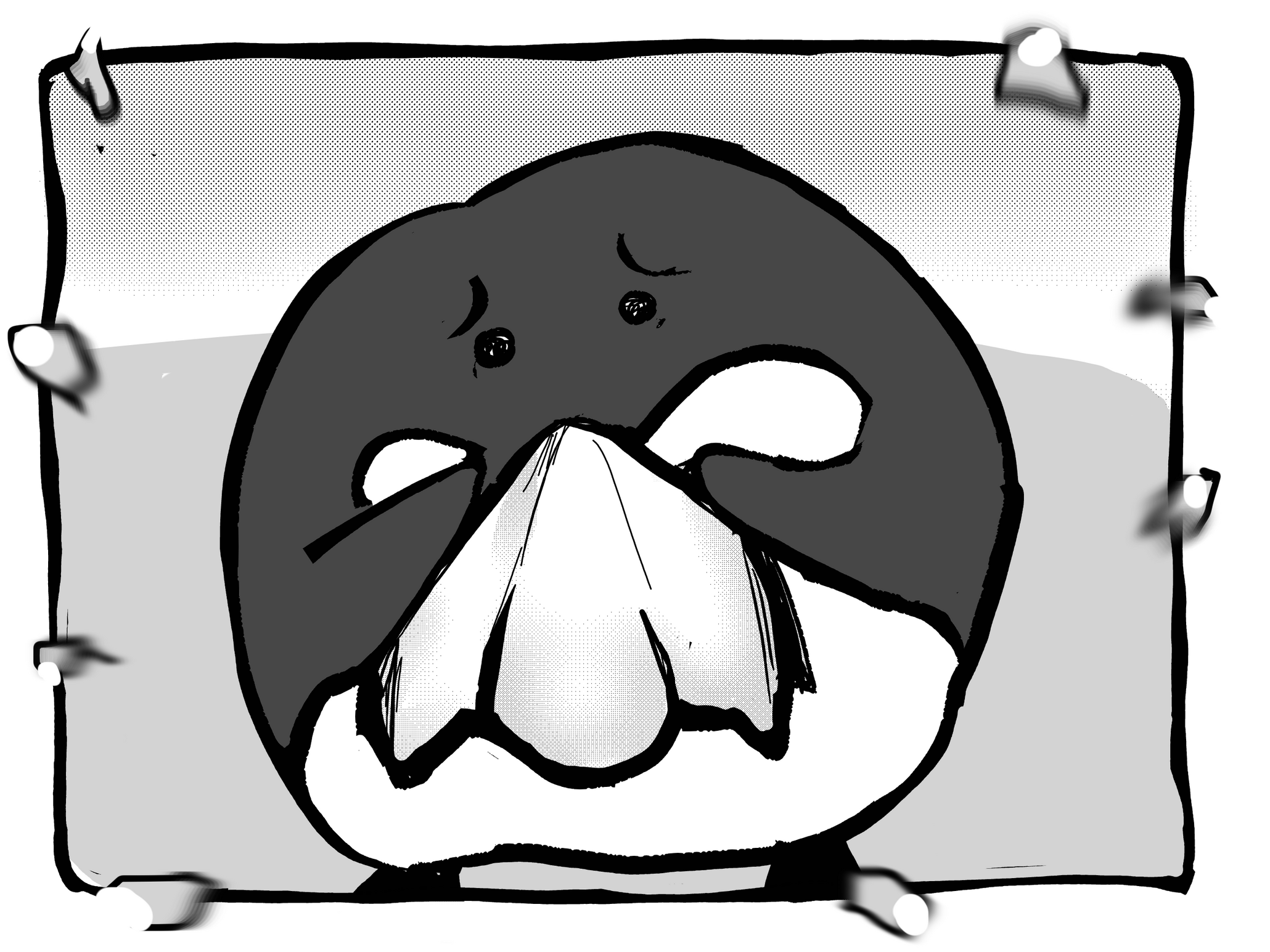 sneezing proves difficult for cupoo --- May. 20. 21. 2026. 2