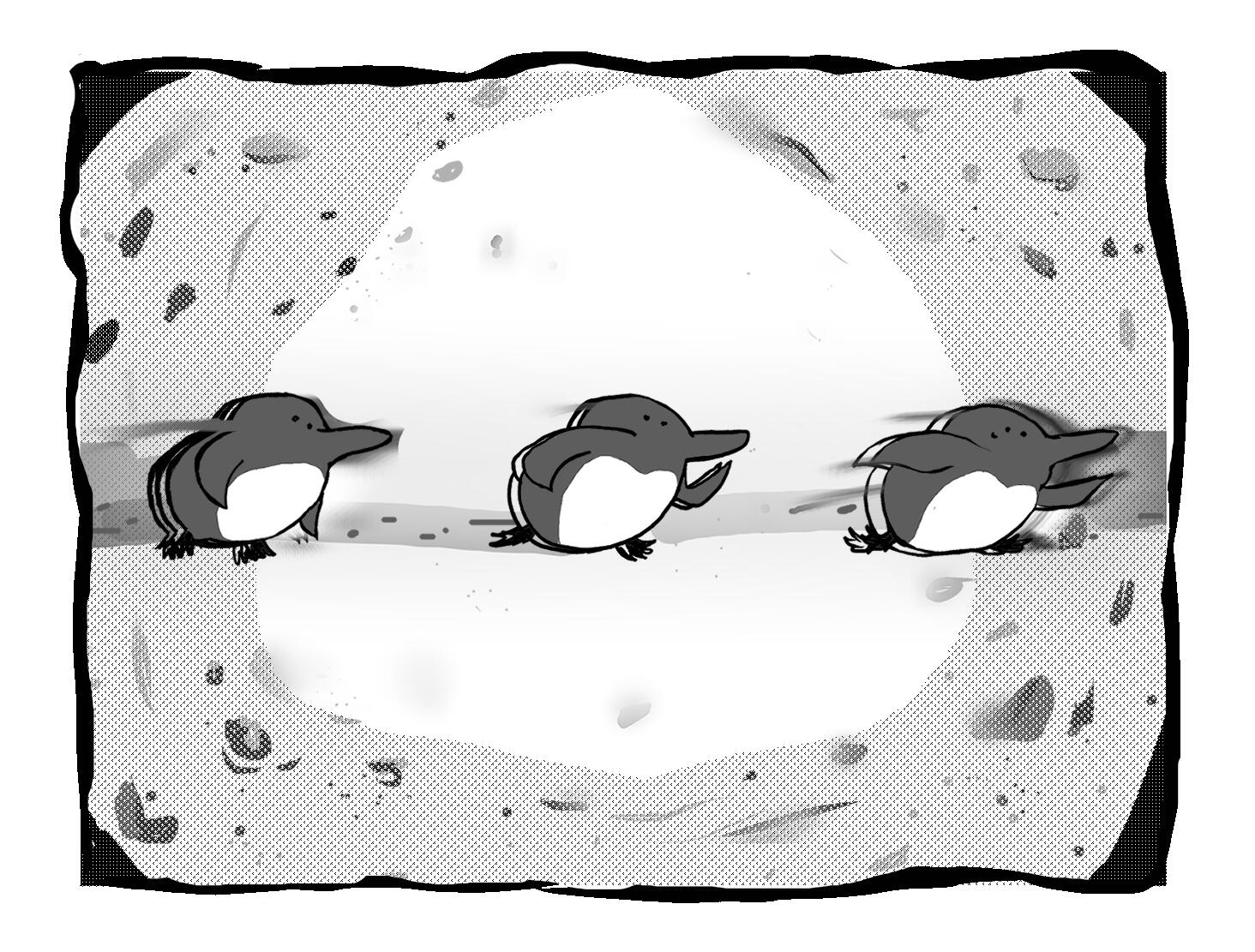 cupoo running faster... --- Apr. 17-18. 2026. 2