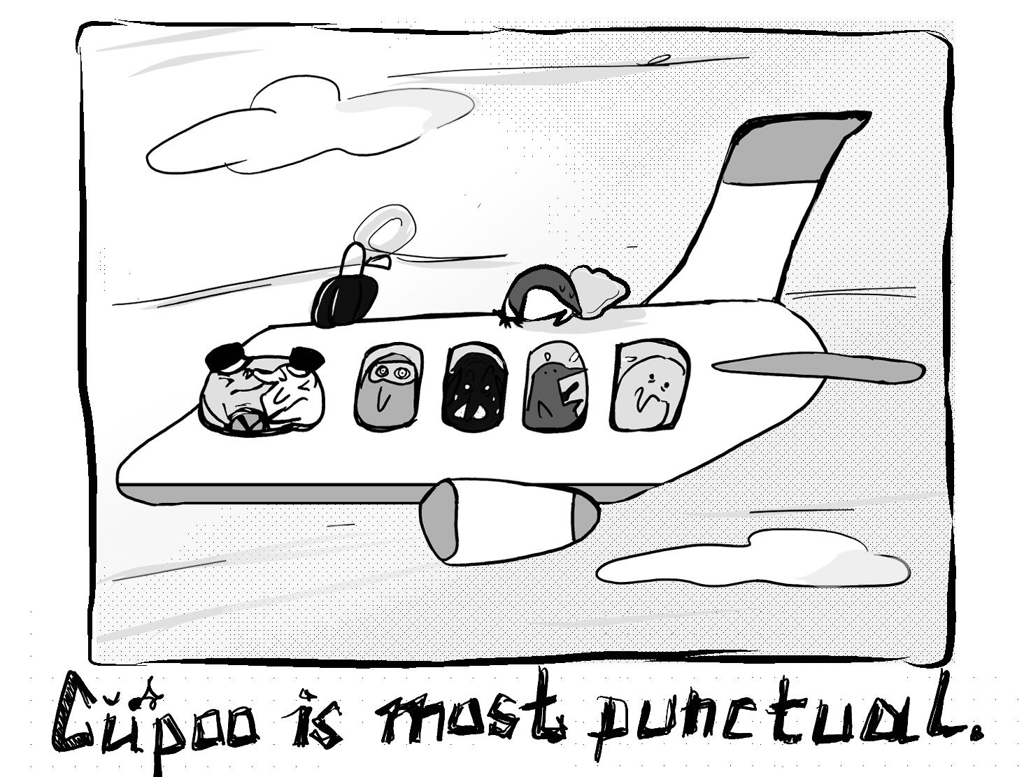 cupoo is most punctual. --- May. 7. 2026.
