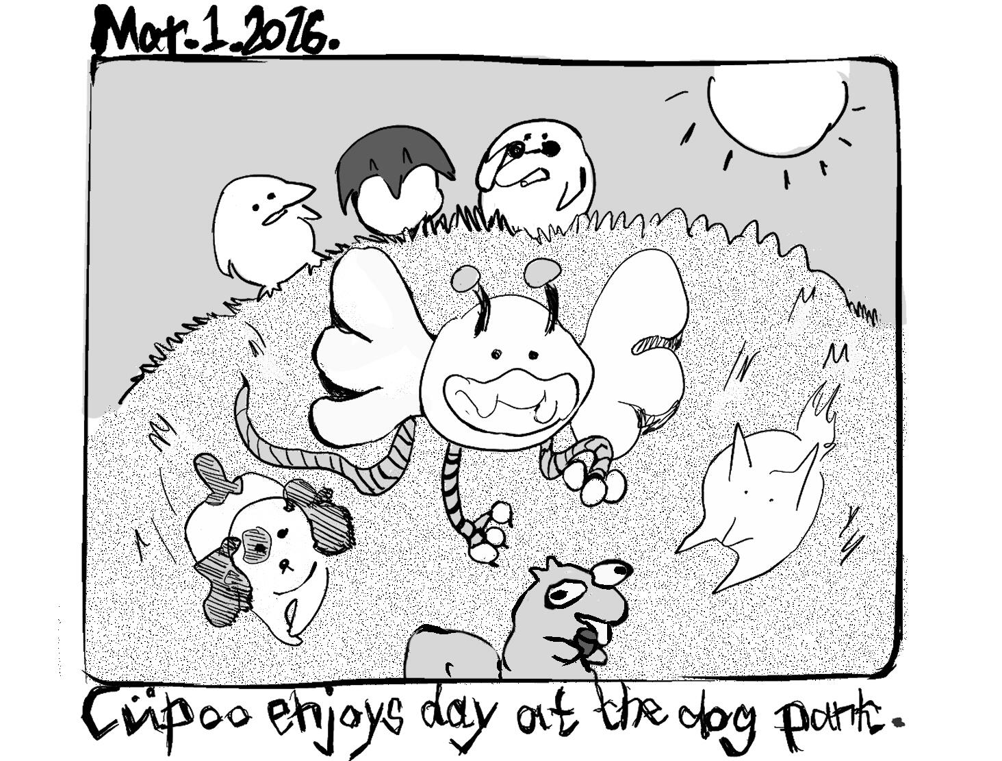 cupoo enjoys day at the dog park