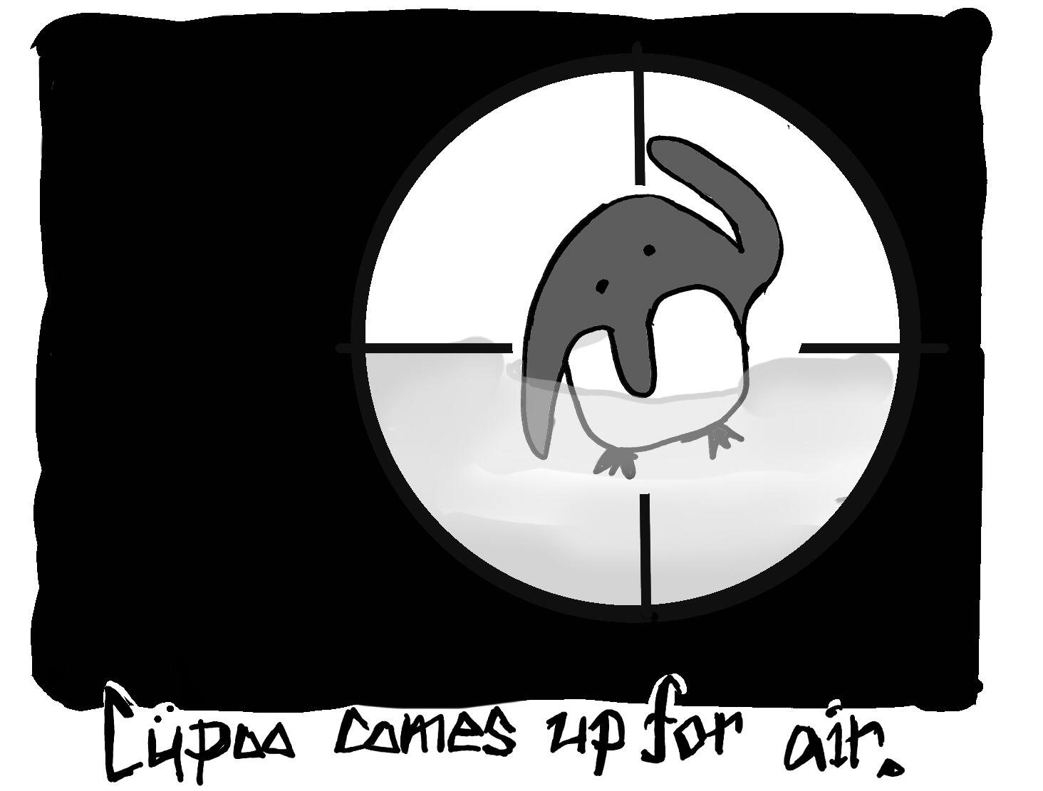 cupoo comes up for air -- Apr. 24-25. 2026. 11