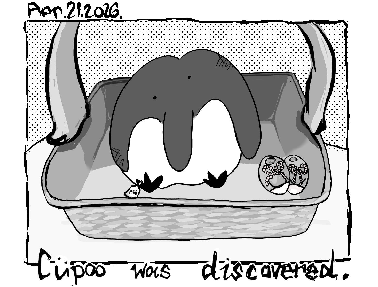 cupoo was discovered --- Apr. 21. 2026