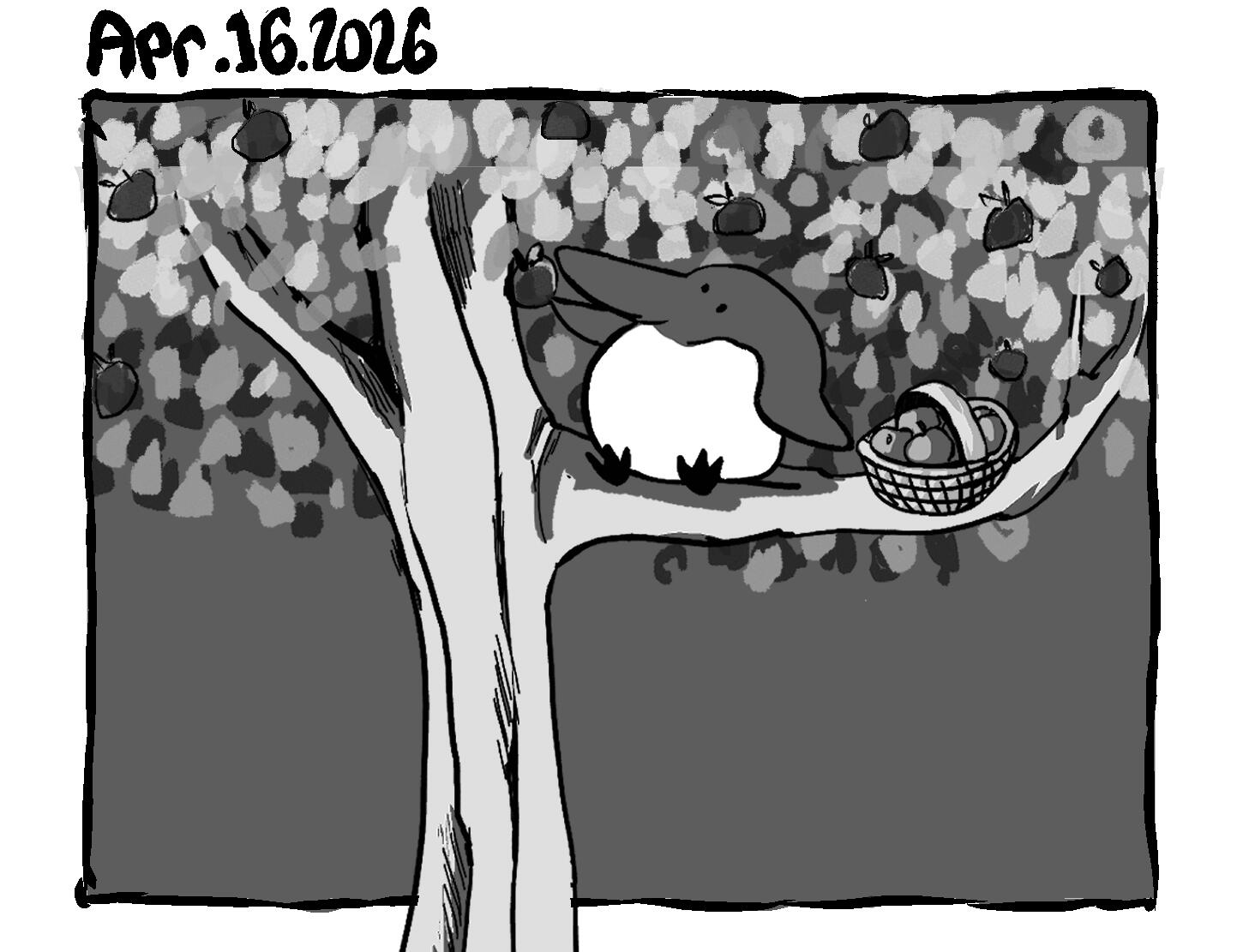 cupoo sitting in tree --- Apr. 16. 2026. 1