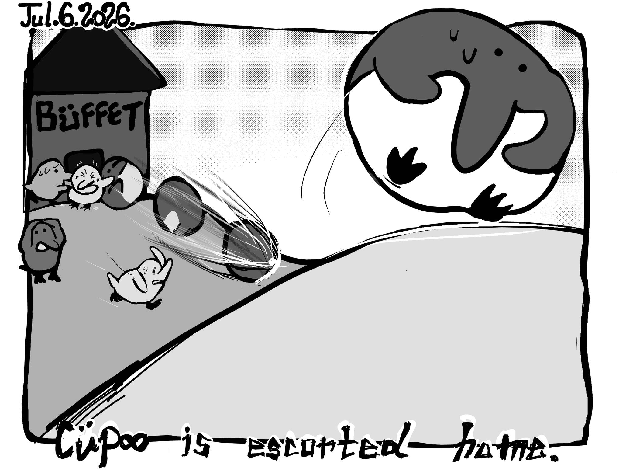 cupoo is escorted home --- Jul. 6. 2026.