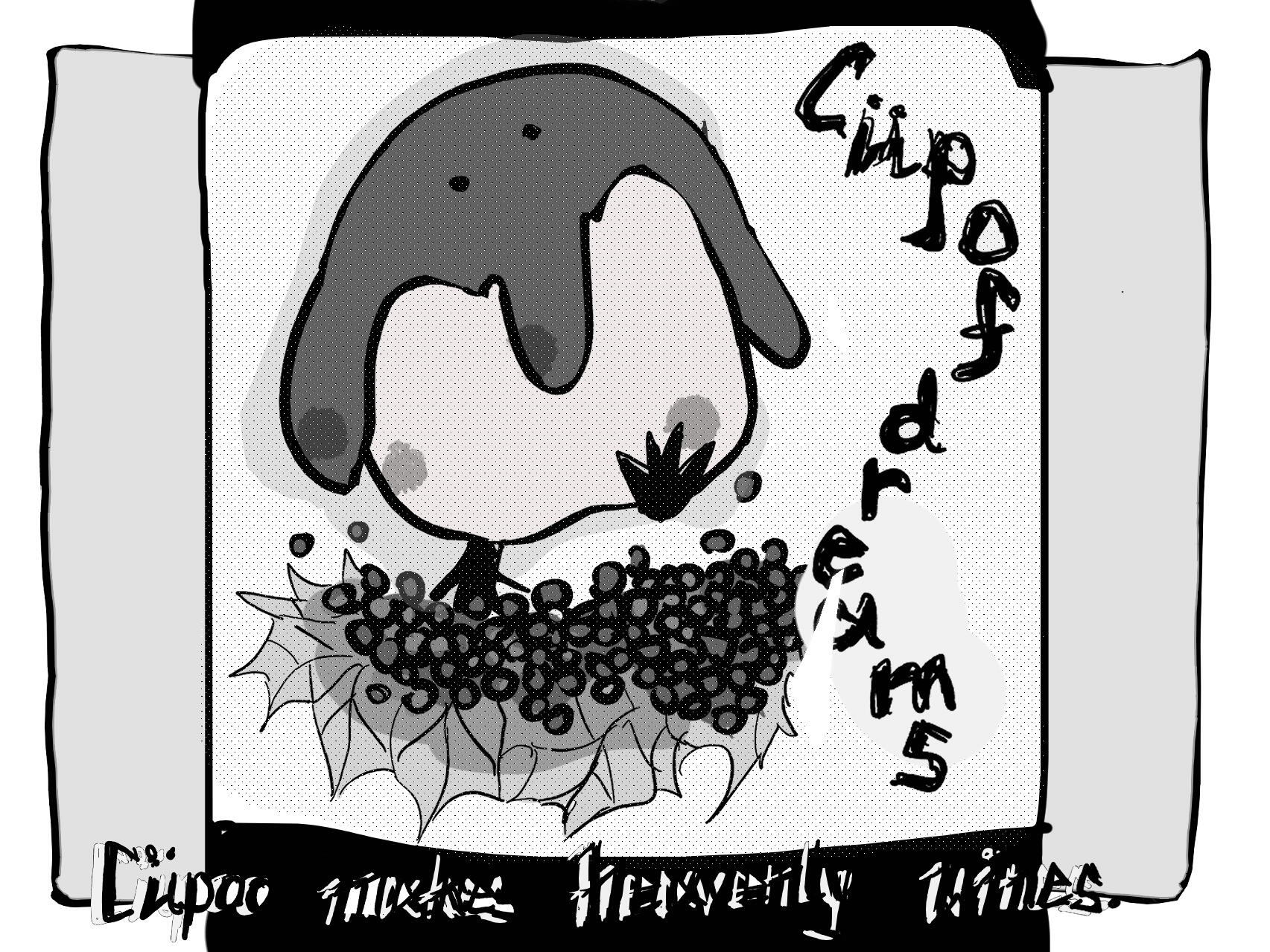 cupoo makes heavenly wines. --- May. 25. 2026. 2