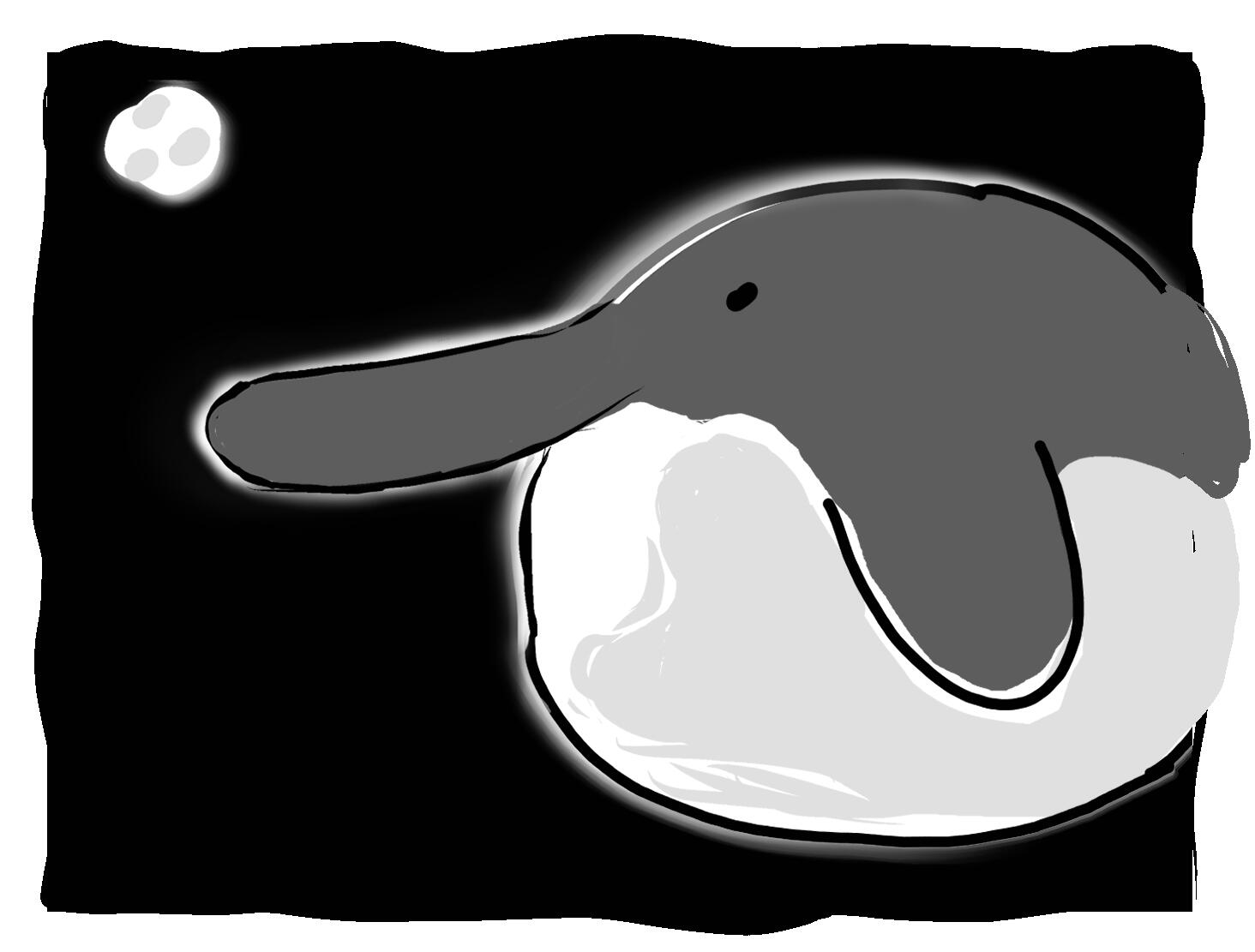 planet poo --- Jun. 30-Jul. 1. 2026. 3.