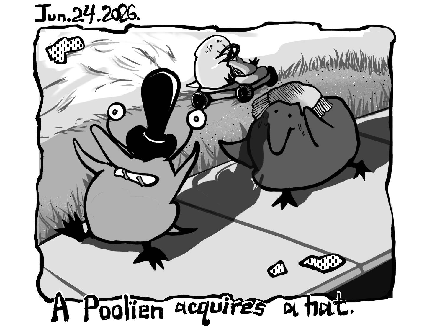 a Poolien acquires a hat. --- Jun. 24. 2026.